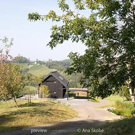 Vila Slatina Weinderer Svecina