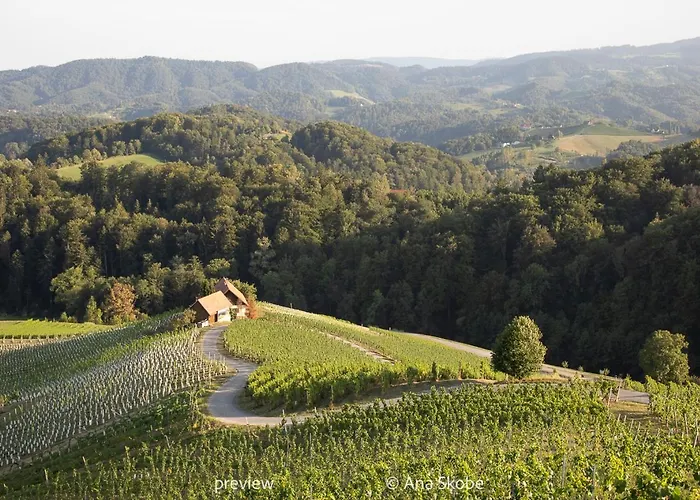 Villa Slatina Weinderer